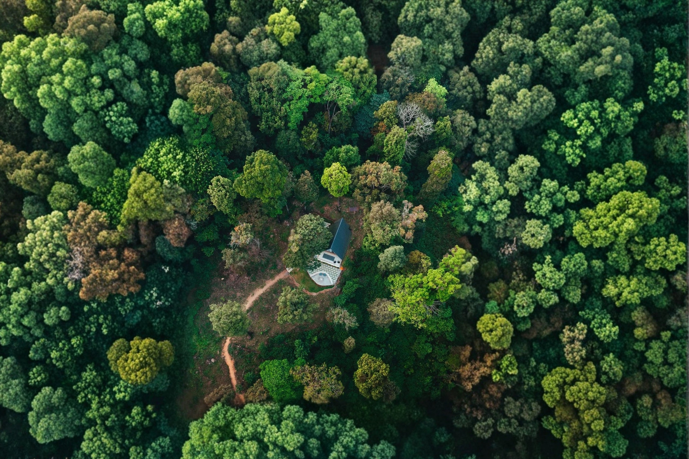 Drone view — 900 Kandi Wayanad